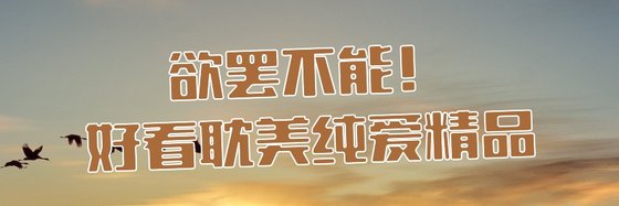欲罢不能！好看耽美纯爱精品